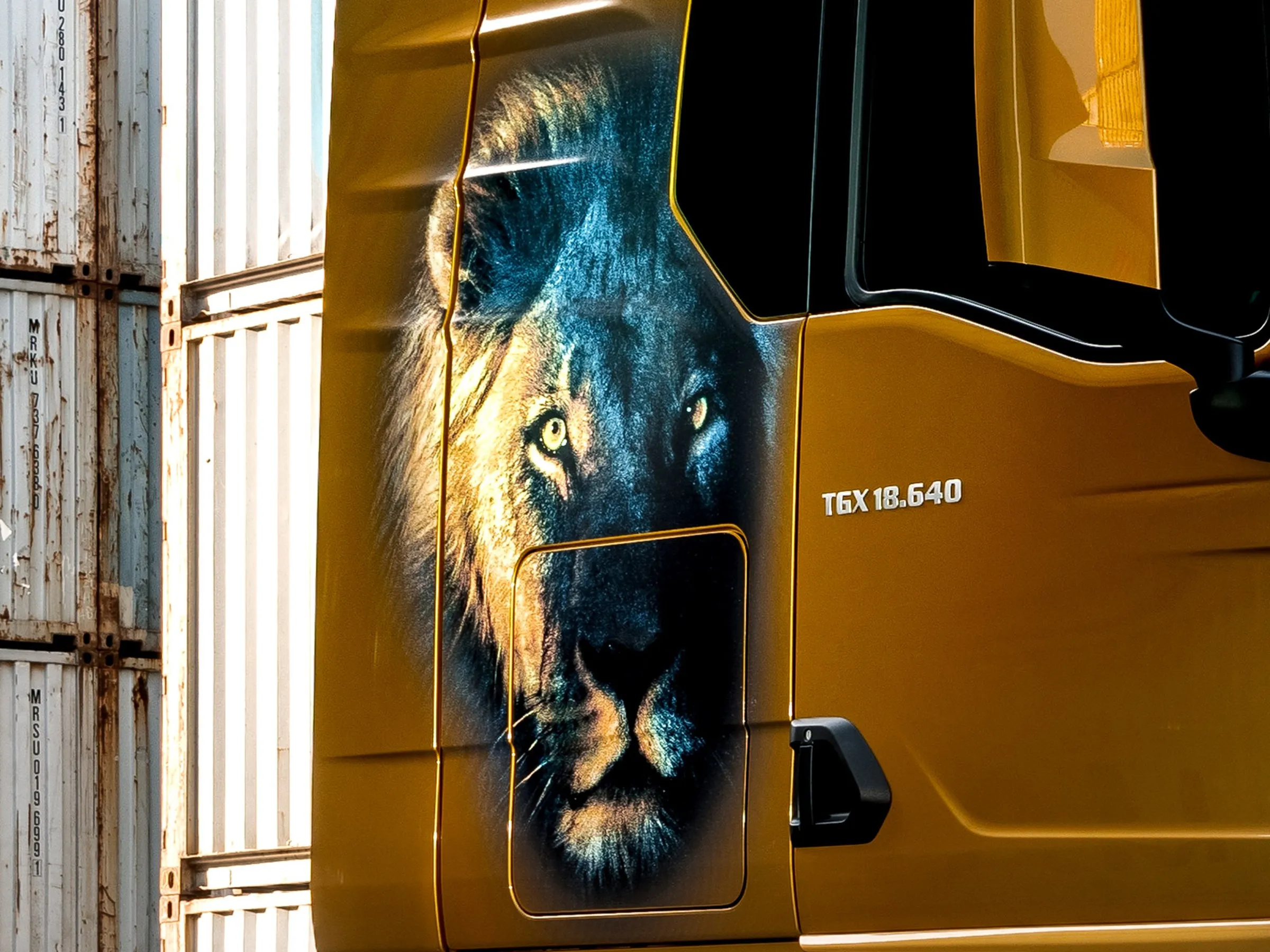 Dekorfolie Lion Face