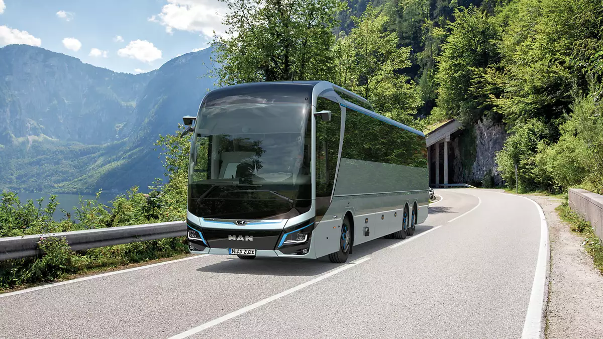 The MAN LION'S COACH E