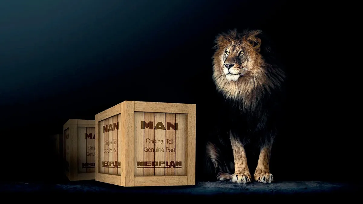 MAN Lion Parts.